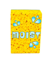 Load image into Gallery viewer, Moist! ages 16+
